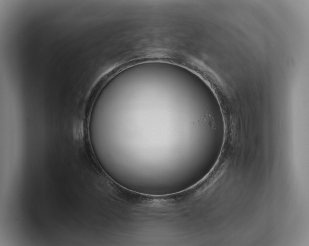 X0000102261166200807251323