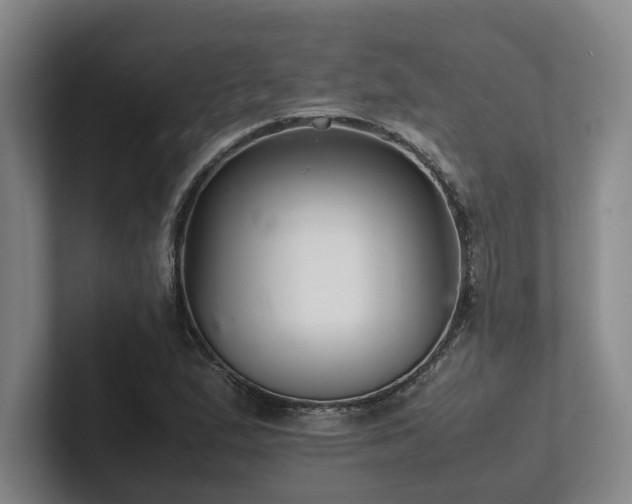 X0000102261167200807251323