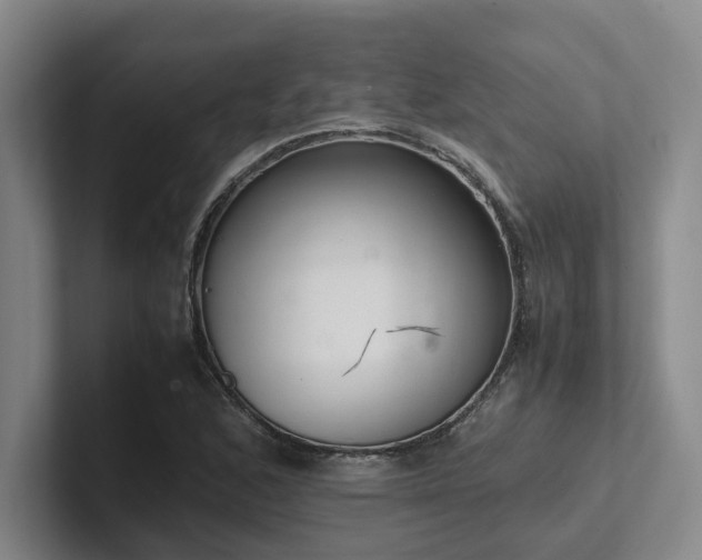 X0000102261168200807251323