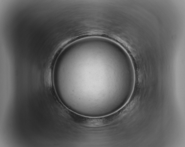 X0000102261171200807251323