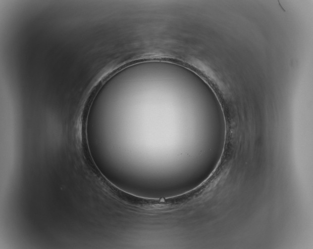 X0000102261173200807251323