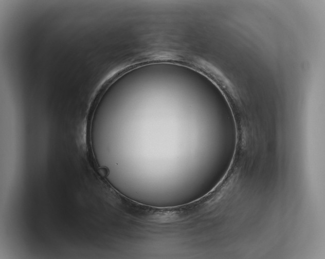 X0000102261174200807251323