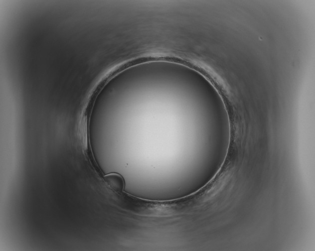 X0000102261175200807251323