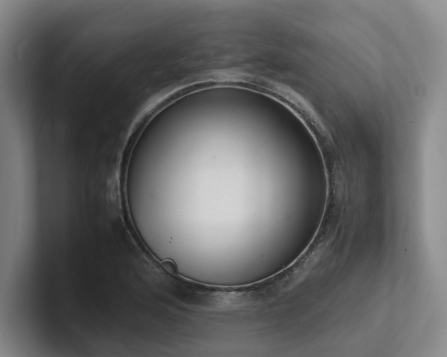 X0000102261176200807251323