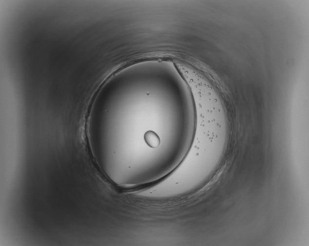 X0000102261177200807251323