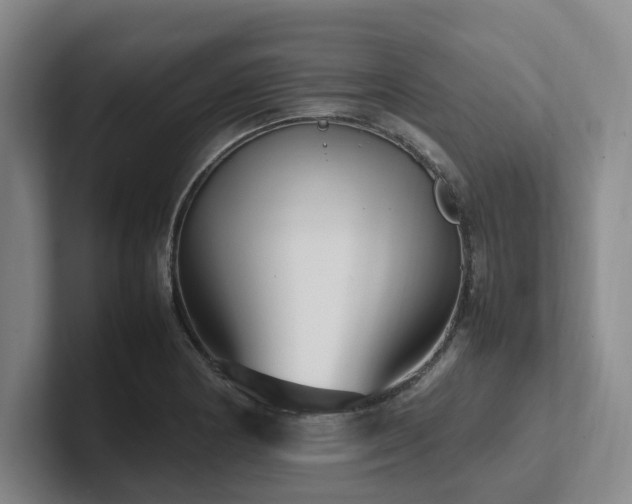 X0000102261178200807251323