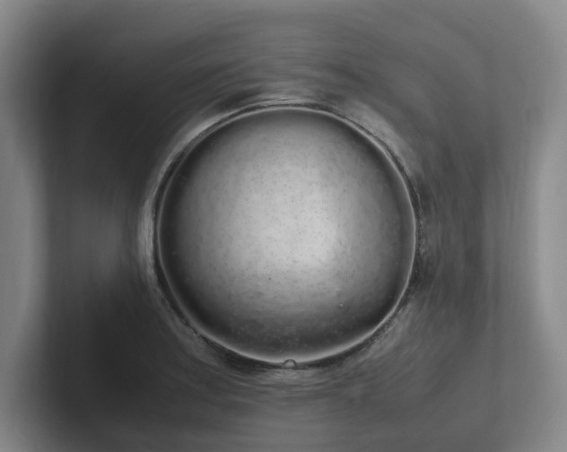 X0000102261179200807251323
