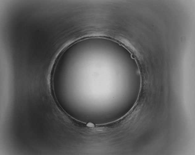 X0000102261181200807251323
