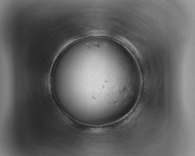 X0000102261182200807251323