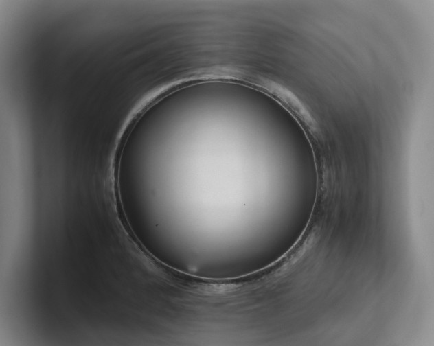 X0000102261184200807251323