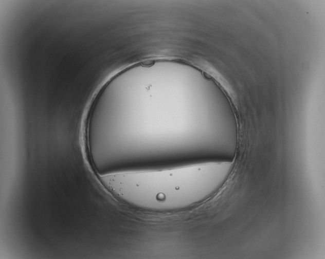 X0000102261187200807251323