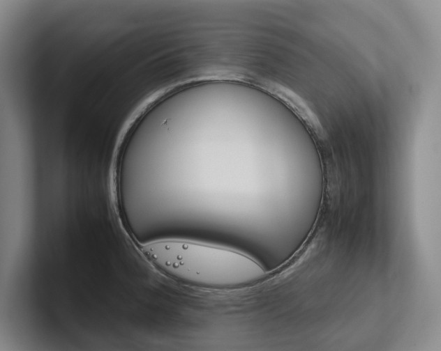 X0000102261188200807251323