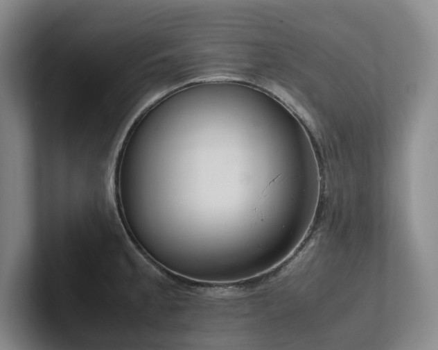 X0000102261189200807251323