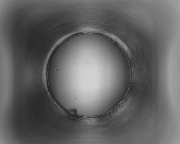 X0000102261191200807251323