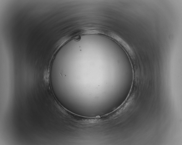 X0000102261193200807251323
