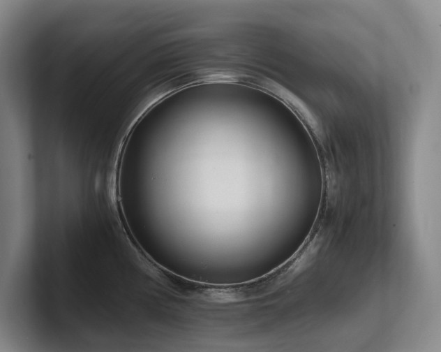 X0000102261194200807251323