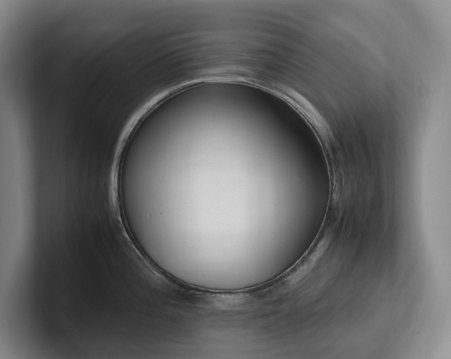 X0000102261196200807251323