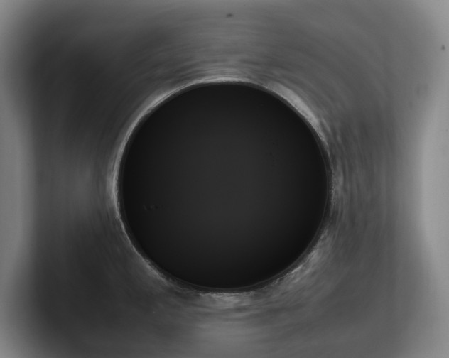 X0000102261197200807251323