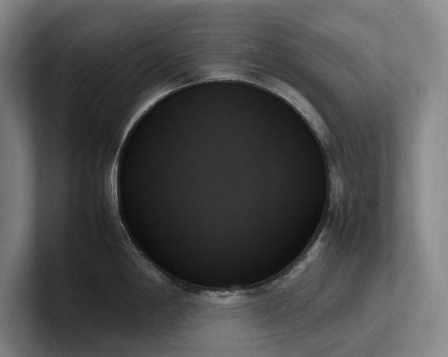 X0000102261198200807251323