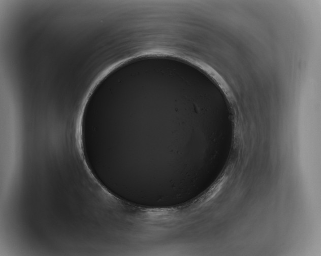 X0000102261199200807251323