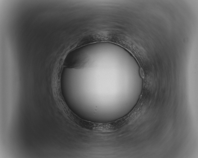 X0000102261201200807251322