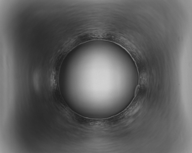 X0000102261202200807251322