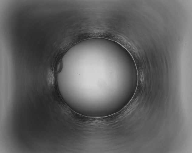 X0000102261204200807251322