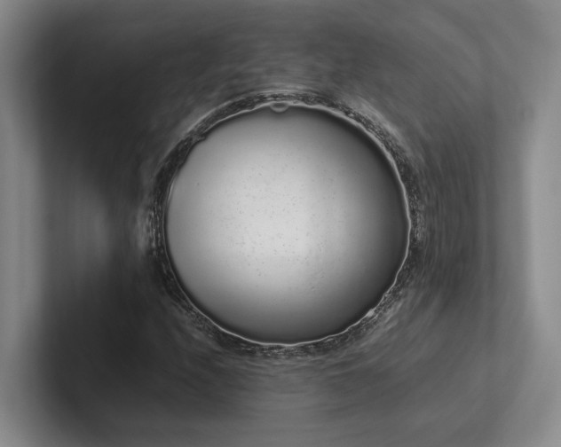 X0000102261208200807251322