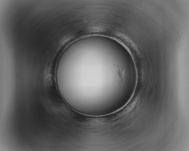 X0000102261210200807251322