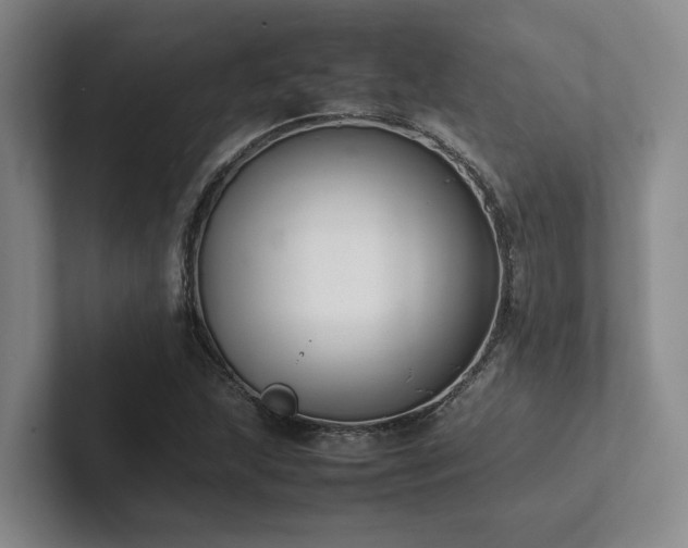 X0000102261215200807251323