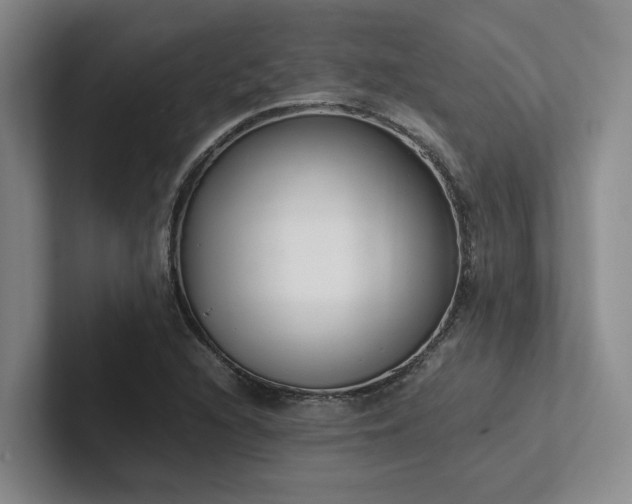 X0000102261216200807251323