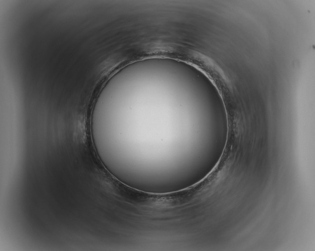 X0000102261217200807251323