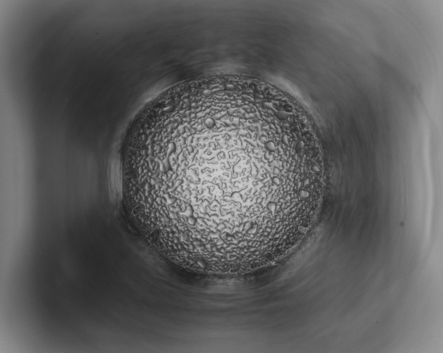 X0000102261219200807251323