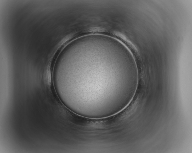 X0000102261221200807251323