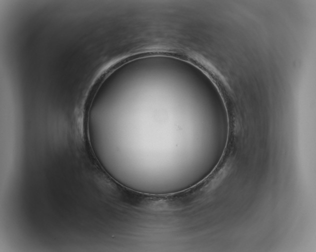 X0000102261222200807251323