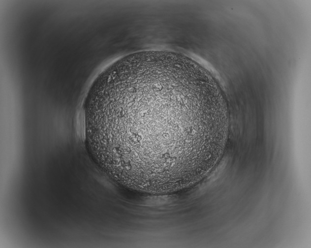 X0000102261223200807251323