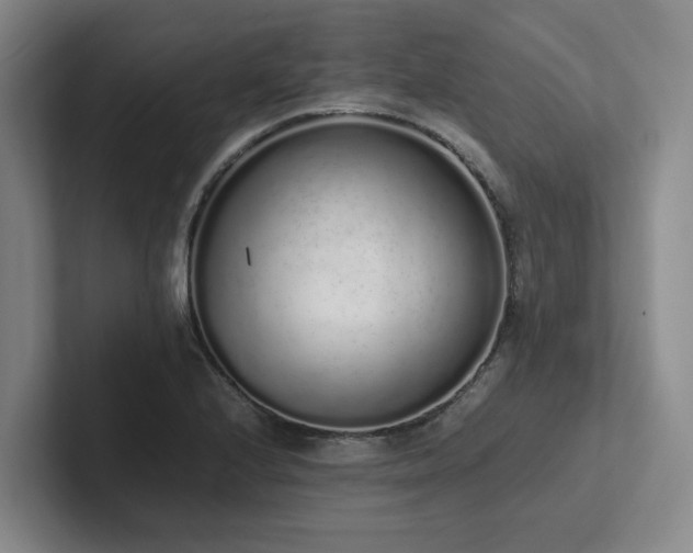 X0000102261224200807251323