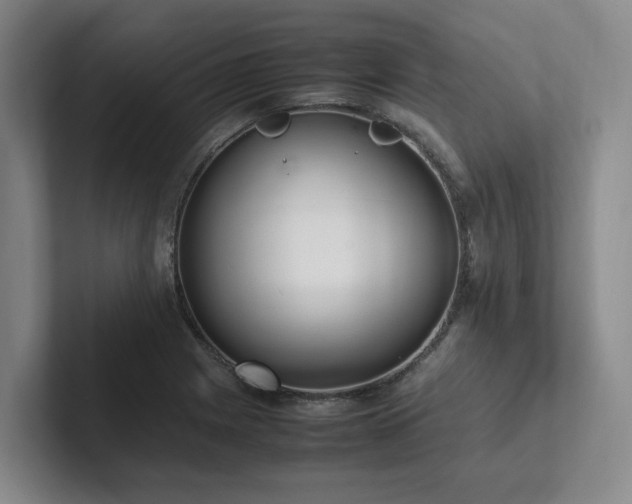 X0000102261225200807251323
