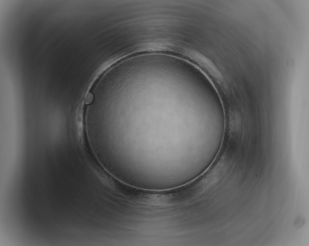 X0000102261226200807251323