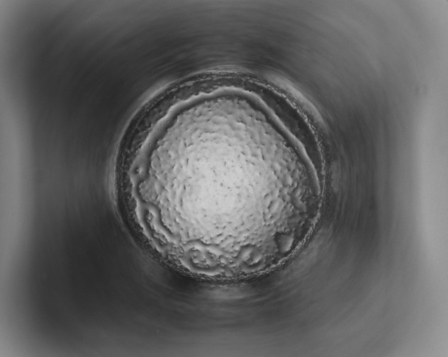 X0000102261229200807251323