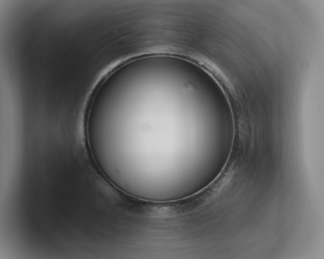 X0000102261230200807251323
