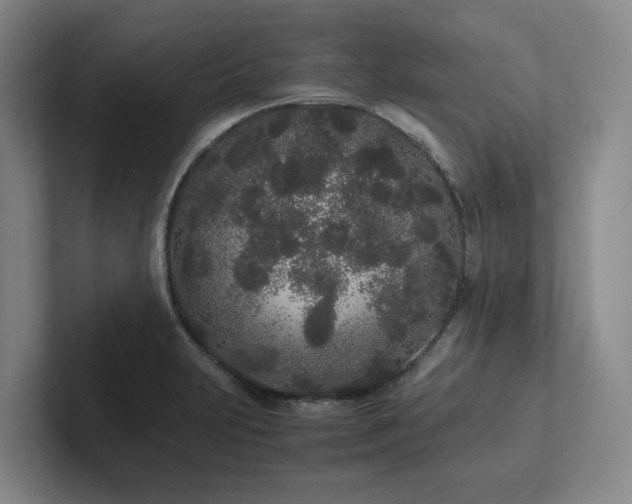 X0000102261231200807251323