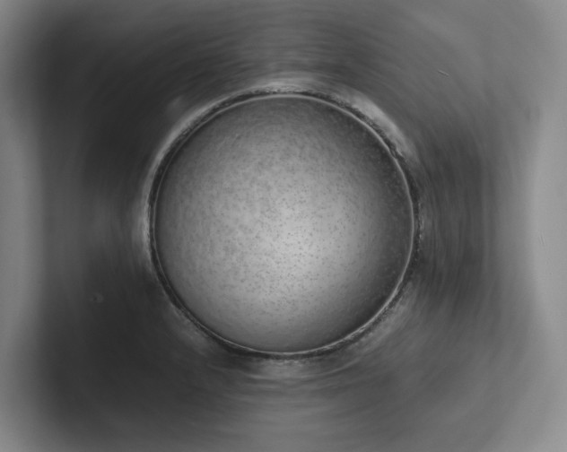 X0000102261232200807251323