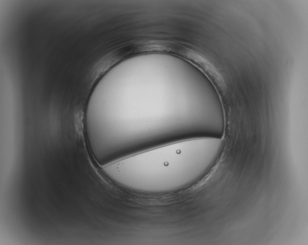 X0000102261233200807251323
