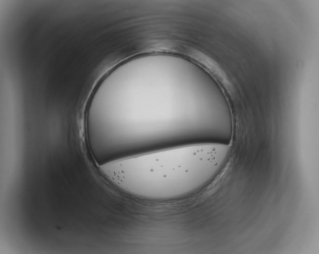 X0000102261234200807251323