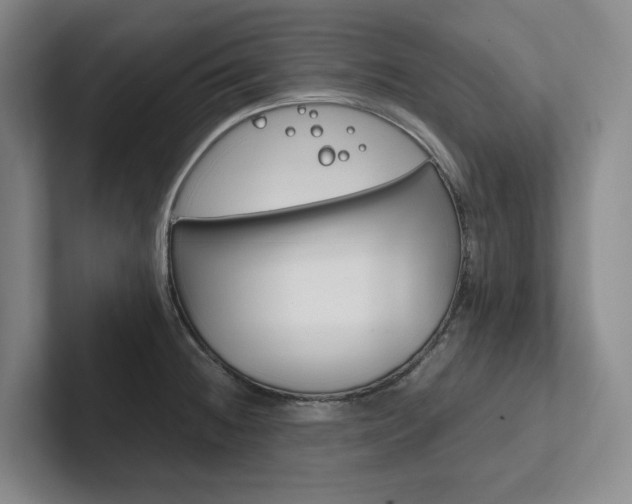X0000102261236200807251323