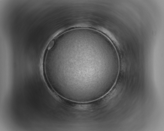 X0000102261237200807251323