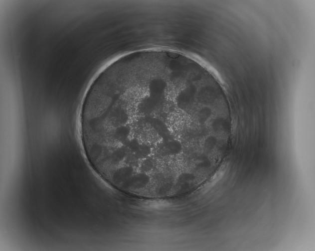 X0000102261239200807251323