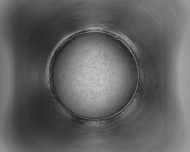 X0000102261240200807251323