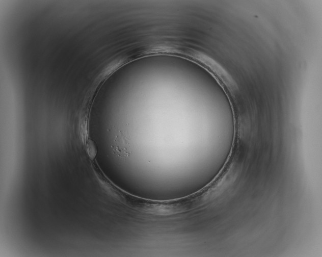 X0000102261241200807251323